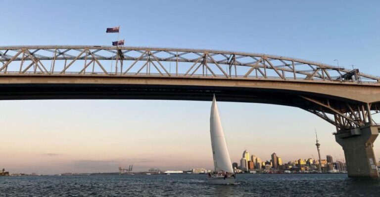Auckland: Harbour Sailing Cruise with 3-Course Dinner - What Could Be Better?