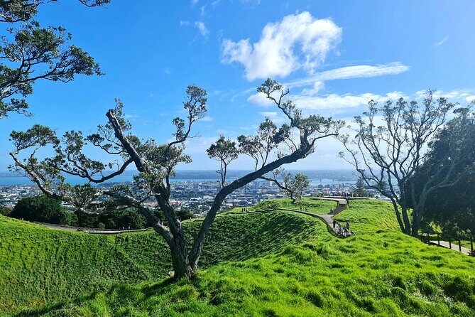 Auckland Hidden Gem Half Day Tour - A Deep Dive into the Auckland Hidden Gem Half Day Tour