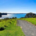 Auckland Hidden gem Tour - What You Can Expect from the Experience