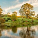 Auckland: Hobbiton Movie Set Day Trip with Festive Lunch - Exploring Hobbiton: The Movie Set