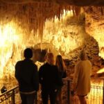 Auckland: Hobbiton & Waitomo Glow Worm Caves Private Tour - Who Will Love This Tour?
