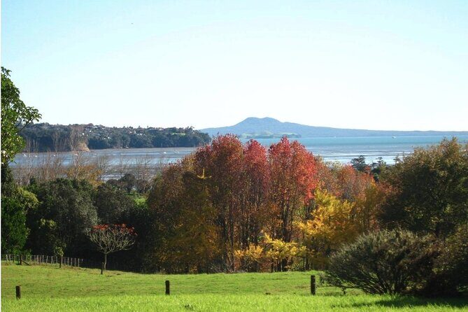 Auckland Nature Tour - Exploring Auckland’s Natural Wonders