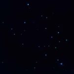 Auckland North Shore Glowworm Tour - Who Will Love This Tour?