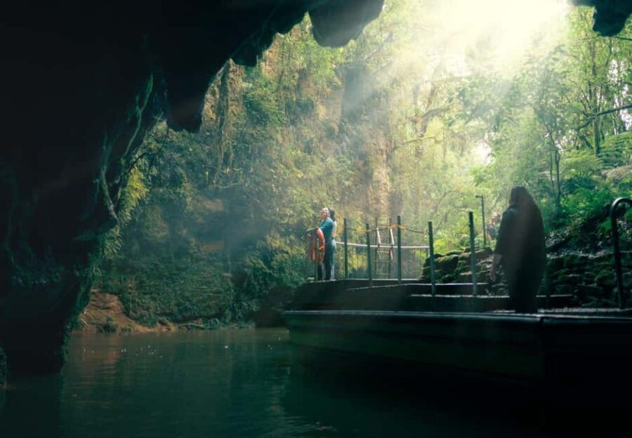 Auckland: One-Way Tour to Rotorua with Waitomo Caves - Transportation, Group Size, and Overall Value