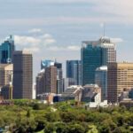 Auckland: Private Customizable Walking Tour with Local Guide - Exploring Auckland with a Private Guide: What to Expect