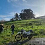 Auckland: Private Farm Tour with Sheep Shearing & Lunch - An In-Depth Look at the Auckland Private Farm Tour