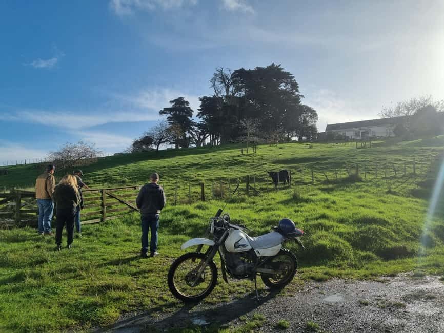 Auckland: Private Farm Tour with Sheep Shearing & Lunch - An In-Depth Look at the Auckland Private Farm Tour