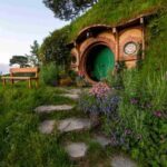 Auckland: Private Hobbiton Movie Set & Waitomo Caves Tour - Analyzing the Value