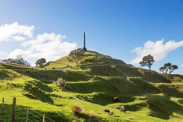 Auckland: Private Mori Experience Tour - The Practicalities: What’s Included & What to Consider