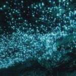 Auckland: Private Rotorua Mori Village & Waitomo Caves Tour - A Closer Look at the Experience