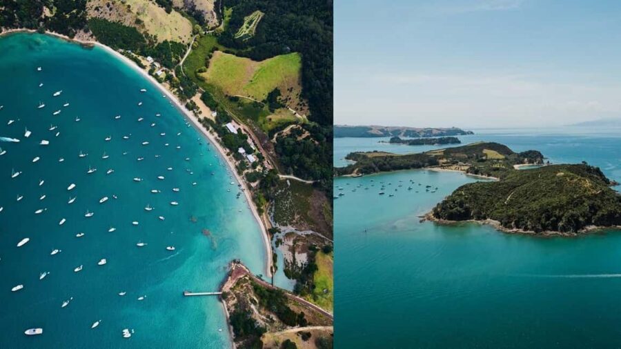 Auckland: Rotoroa Island and Man O'War Vineyard Combo Tour - In-Depth Review of the Tour Experience