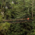 Auckland: Rotorua Highlights w Redwoods Treewalk & Hot Tubs - Value and Practicality