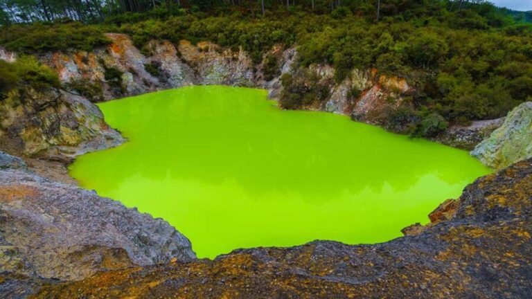 Auckland: Rotorua Highlights w WaiOTapu & Redwoods Treewalk - The Itinerary in Detail