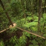 Auckland: Rotorua Highlights with Redwoods Treewalk & Spa - Authentic Experiences and Authentic Insights