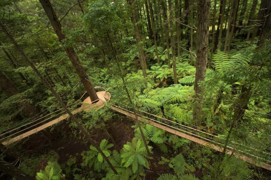 Auckland: Rotorua Highlights with Redwoods Treewalk & Spa - Authentic Experiences and Authentic Insights