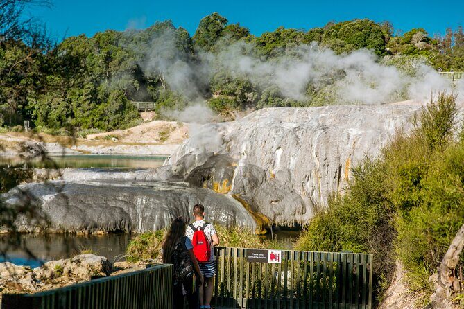 Auckland: Rotorua Te Puia with Haka & Polynesian Spa Small Group