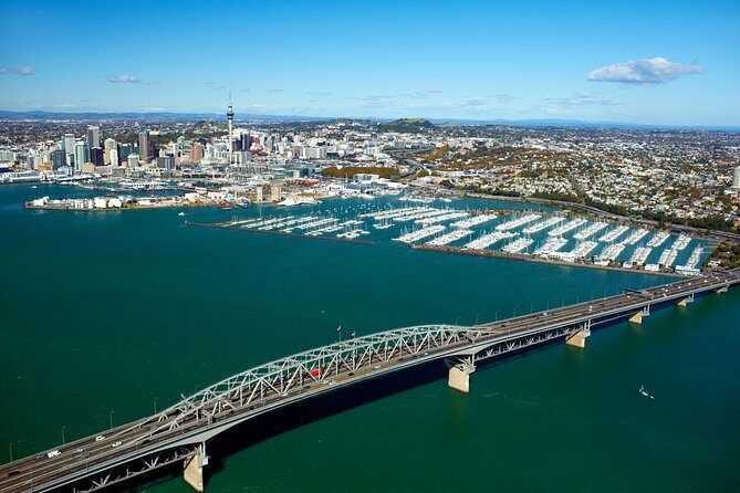 Auckland Shore Excursion: Half-Day Guided City Tour - Why It’s a Great Choice for Travelers