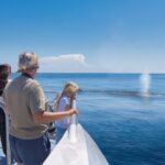 Auckland: Tikapa Moana Dolphin, Whale and Island Cruise - FAQs