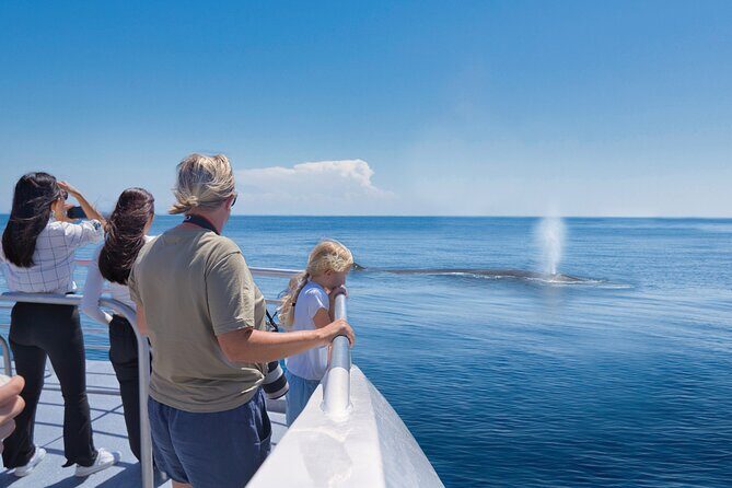 Auckland: Tikapa Moana Dolphin, Whale and Island Cruise - FAQs