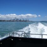 Auckland: Tikapa Moana Whales, Dolphins and Islands Cruise - Who Is This Tour Best For?