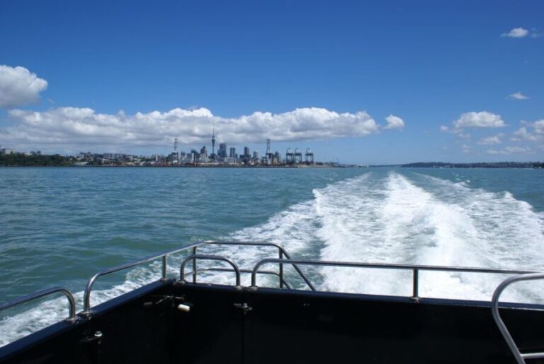 Auckland: Tikapa Moana Whales, Dolphins and Islands Cruise - Who Is This Tour Best For?