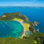 Auckland to Paihia via West Coast Small Group Tour (One Way) - Who Will Love This Tour?