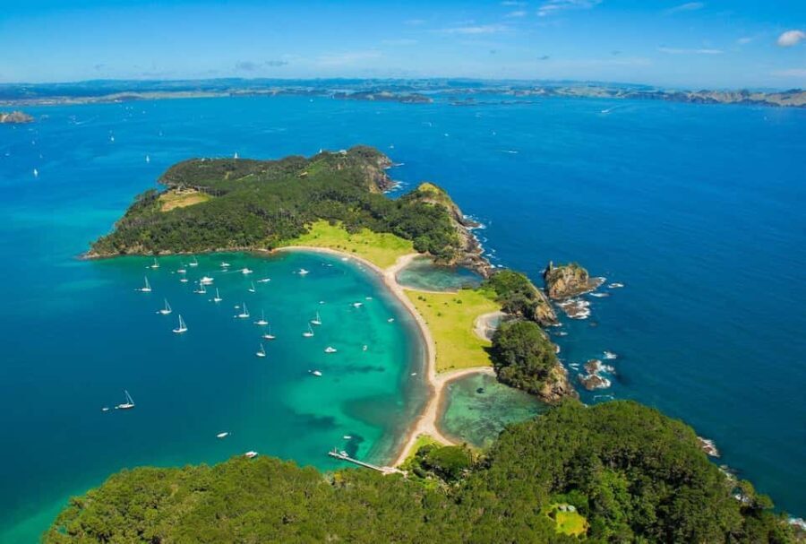 Auckland to Paihia via West Coast Small Group Tour (One Way) - Who Will Love This Tour?