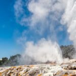 Auckland to Rotorua via Hobbiton One Way Small Group Tour - An In-Depth Look at the Tour Experience