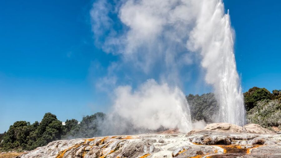 Auckland to Rotorua via Hobbiton One Way Small Group Tour - An In-Depth Look at the Tour Experience