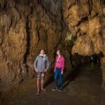Auckland to Rotorua via Waitomo Caves Small Group Tour (One Way) - Authentic Feedback: Real Travelers Weigh In