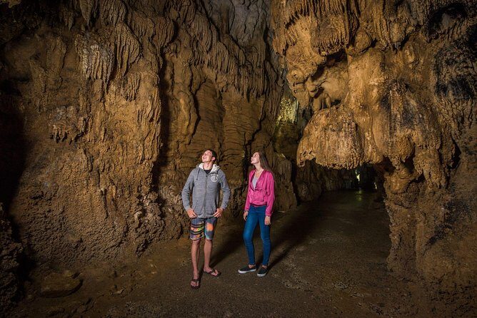 Auckland to Rotorua via Waitomo Caves Small Group Tour (One Way) - Authentic Feedback: Real Travelers Weigh In