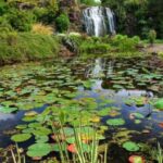Auckland Waterfall Tour - Final Thoughts