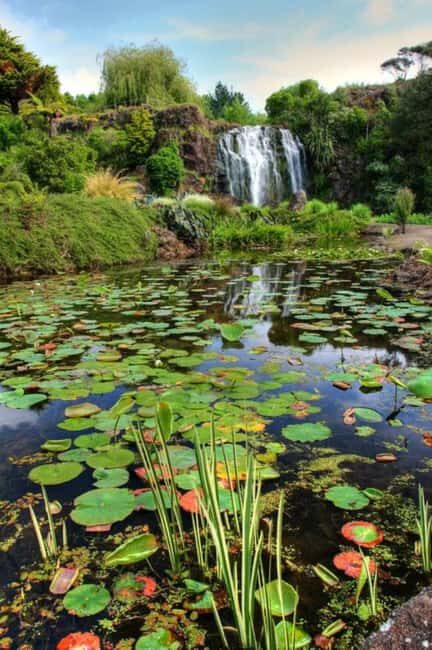 Auckland Waterfall Tour - Final Thoughts