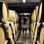 Auckland West Vineyard Tour with lunch and tastings incl - Who Should Consider This Tour?