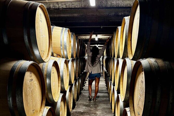 Auckland West Vineyard Tour with lunch and tastings incl - Who Should Consider This Tour?