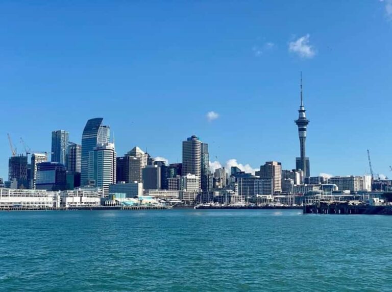 Auckland: Wine and Cheese Cruise with Live Commentary - Key Points