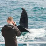 Augusta: Whale Watching Tour - Why Youll Love the Experience