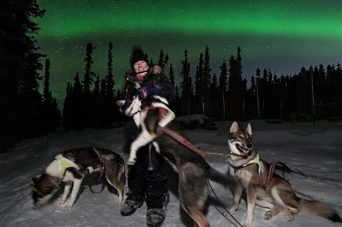 Aurora Activity at Sluice Box Sled Dogs - The Sum Up