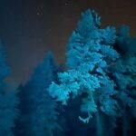 Aurora Borealis Dinner in a Glass Igloo - The Value of This Tour