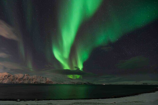 Aurora Hunt with Professional Photographer from Alta - Who Should Consider This Tour?