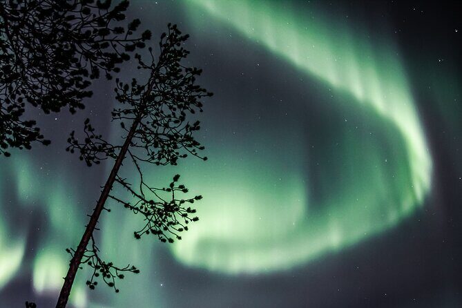 Aurora Hunting Photo Tour from Rovaniemi with Pickup - The Itinerary Breakdown