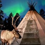 Aurora Hunting with Reindeer Caravan - Frequently Asked Questions