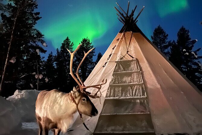 Aurora Hunting with Reindeer Caravan - Frequently Asked Questions