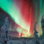 Auroras - Northern Lights Tours by Aurora Experts - Rovaniemi - Exploring Rovaniemi’s Northern Lights Tour in Detail