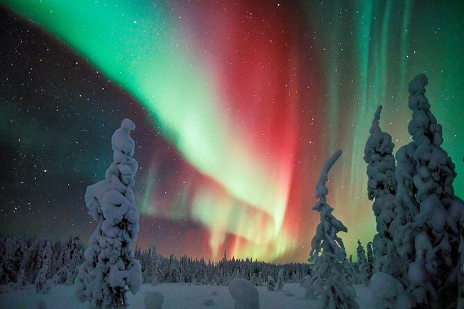 Auroras - Northern Lights Tours by Aurora Experts - Rovaniemi - Exploring Rovaniemi’s Northern Lights Tour in Detail