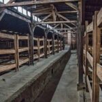 Auschwitz and Birkenau Tour with Hotel Pick up from Krakow - In-Depth Review: Your Journey Through a Dark Chapter of Humanity