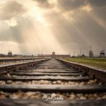 Auschwitz and Birkenau WITHOUT GUIDE private transport from Kraków - Who Is This Tour Best For?