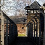 Auschwitz Birkenau and Salt Mine Full Day Guided Tour from Krakow hotel pick up - What This Tour Offers: A Practical Breakdown