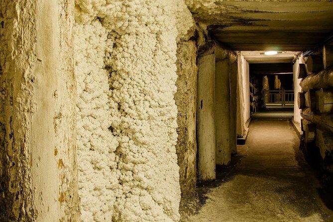 Auschwitz-Birkenau and Wieliczka Salt Mine Day Tour from Krakow with private car - What Makes This Tour Stand Out?