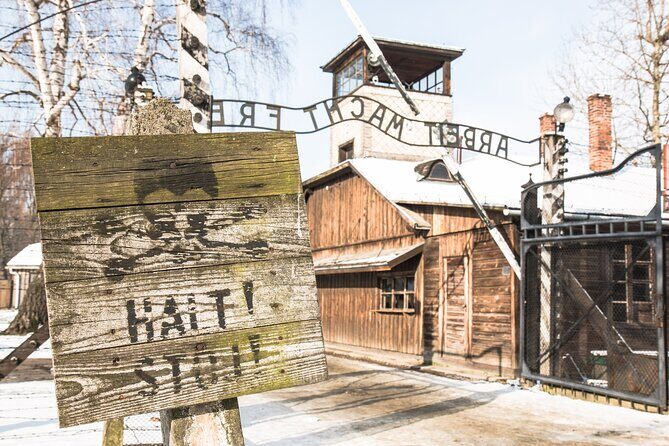 Auschwitz-Birkenau and Wieliczka Salt Mine Full Day Tour - Who Will Love This Tour?